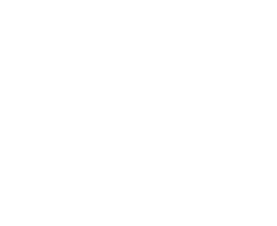ctenvision-global_logo-reverse_550x450