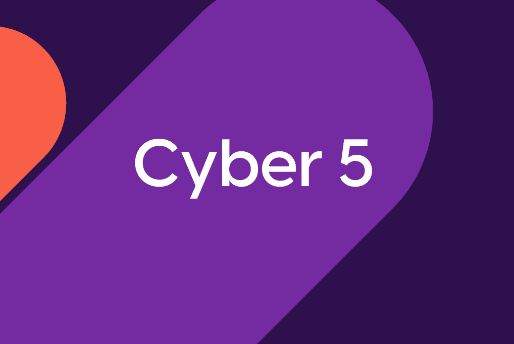 Cyber 5 tips